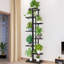 Plant Stand-50357857