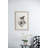 S/2 Bird Framed Print