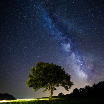 Arbre Emanuil Milky Way par Brusterja