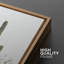 Cactus désert "Southwestern Green Saguaro-91875145-91875146