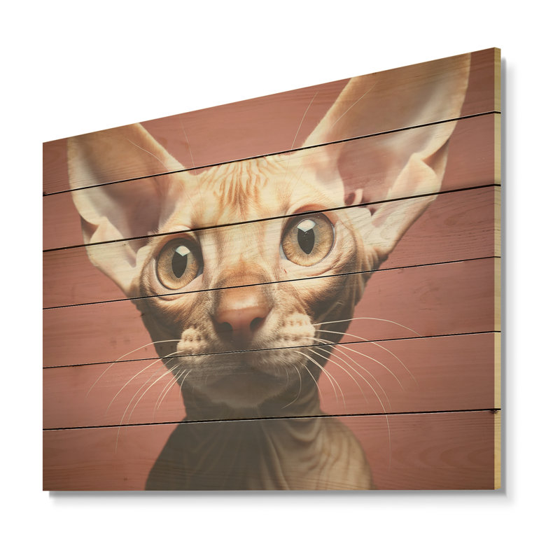 Peterbald Playfulness Cat Portait - Art mural en bois sur bois de pin naturel, H 24 po x l 32 po