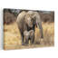 African Elephant Family Contemporary Wall Art-129006987