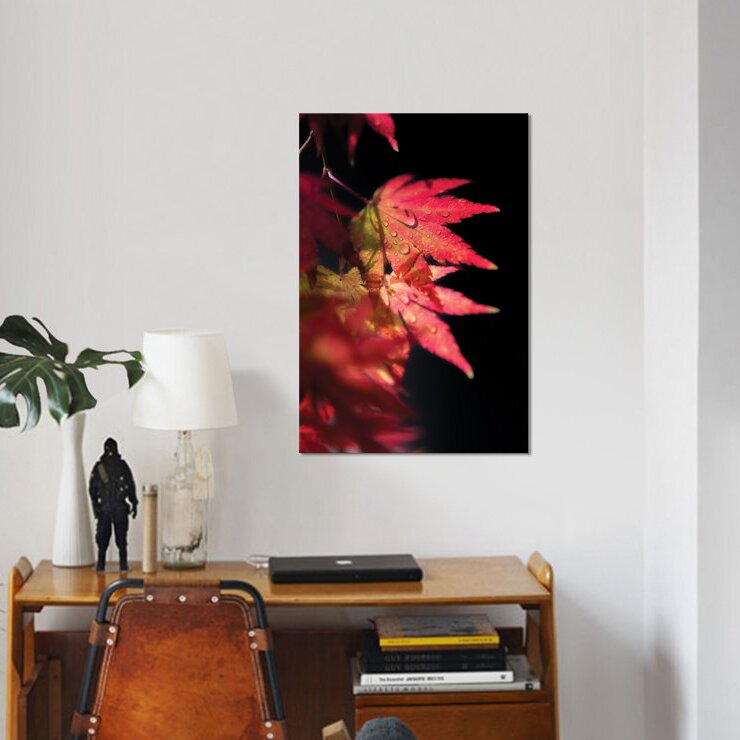 'Red Spirit Of Autumn' Photographic Print on Canvas