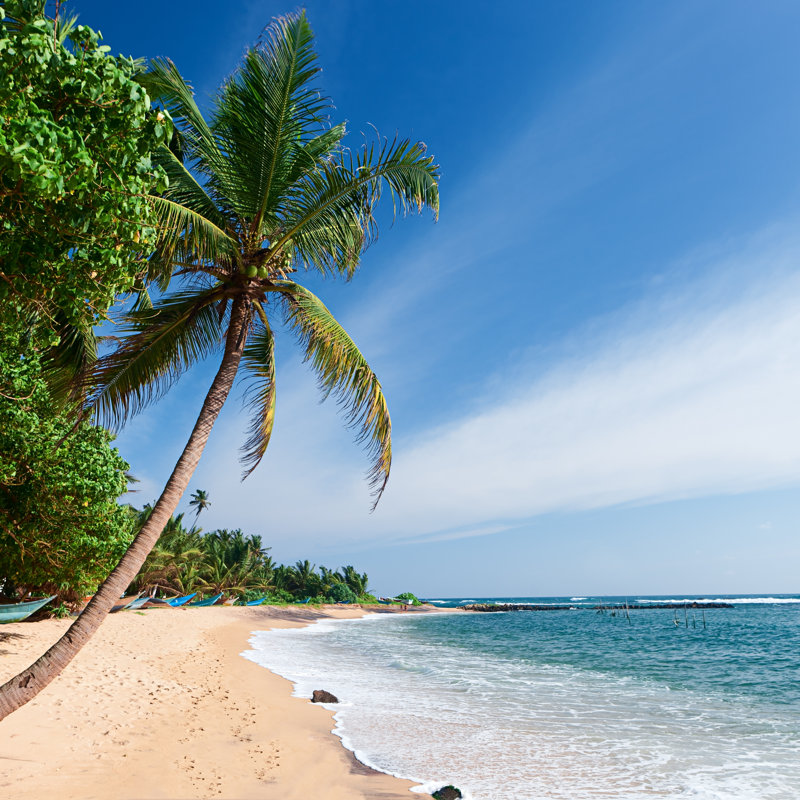 Tropical Beach, Sri Lanka by Hadynyah - Wrapped Canvas Print, 91cm H x 91cm W