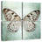 Brampt French Butterfly VI-109118916