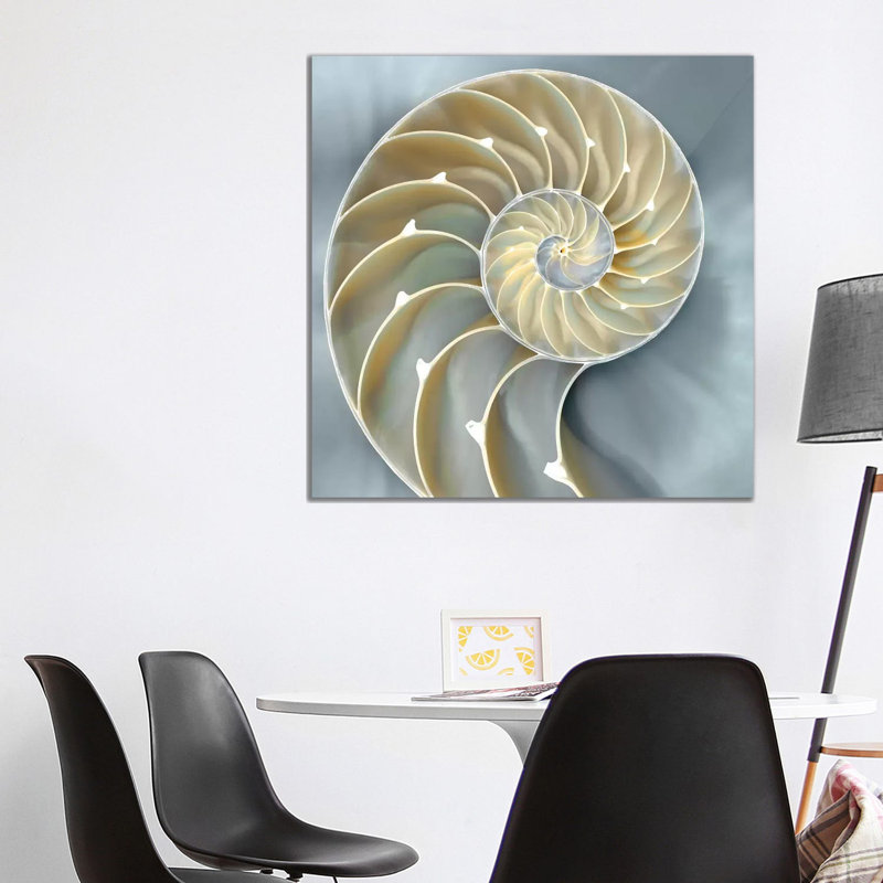 Nautilus In Blue I, Black Framed, 93.98 cm H x 93.98 cm W