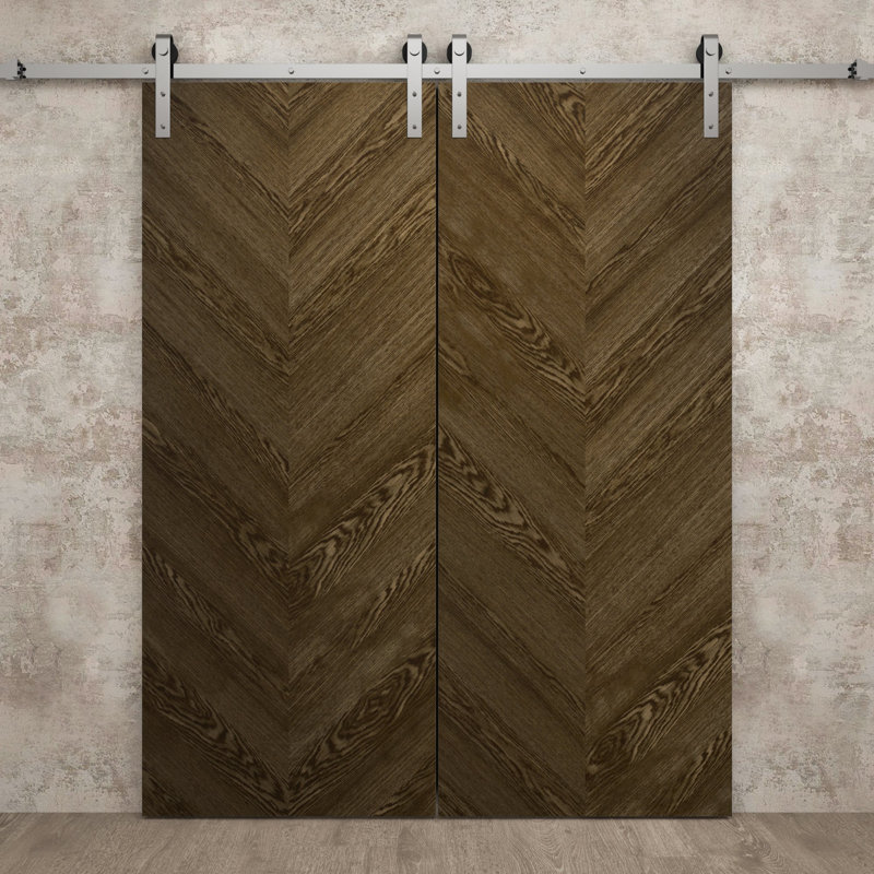 Porte de grange double moderne 84 x 96 pouces Ego 5005 Chêne marbré, rail argenté de 14 pieds, portes intérieures à panneaux pleins