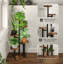 Plant Stand