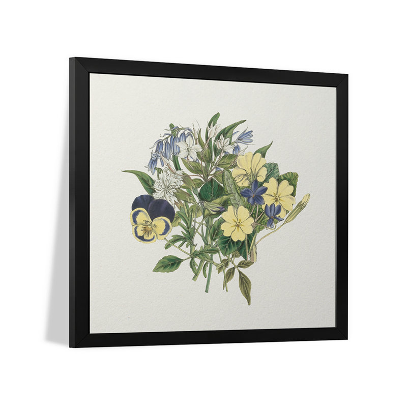 Pansy Party I - reproduction d'art murale - affiche de galerie, H 24 po x l 24 po