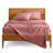 Bare Home Ultra-Soft Microfiber Sheet Set-2089872311-2036055700