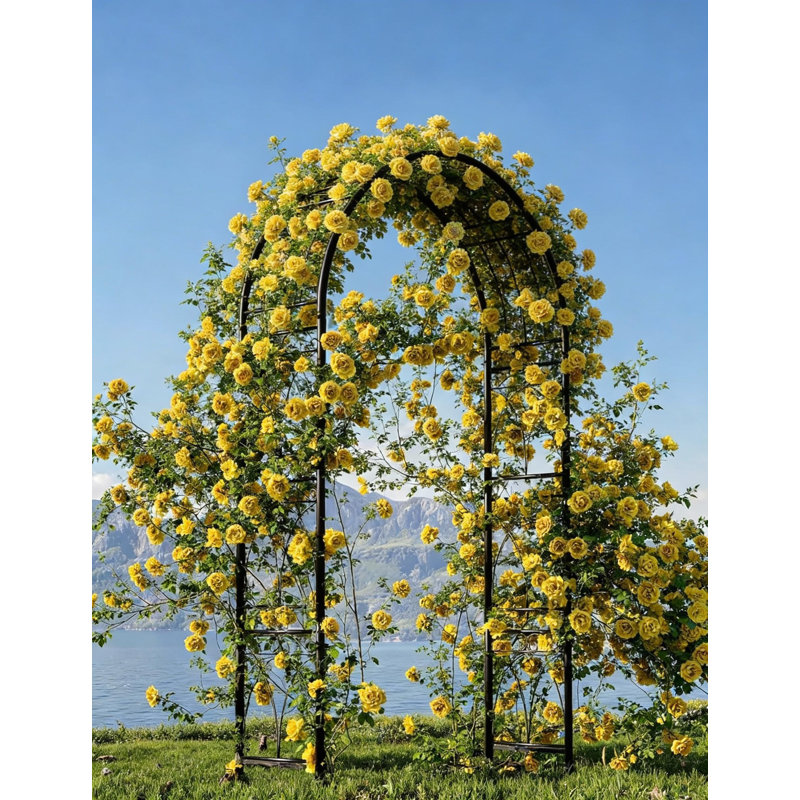 7.87 FT Black Metal Garden Arch Arbour