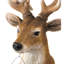 Figurine Mircea