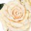Fleur artificielle rose-1937437248