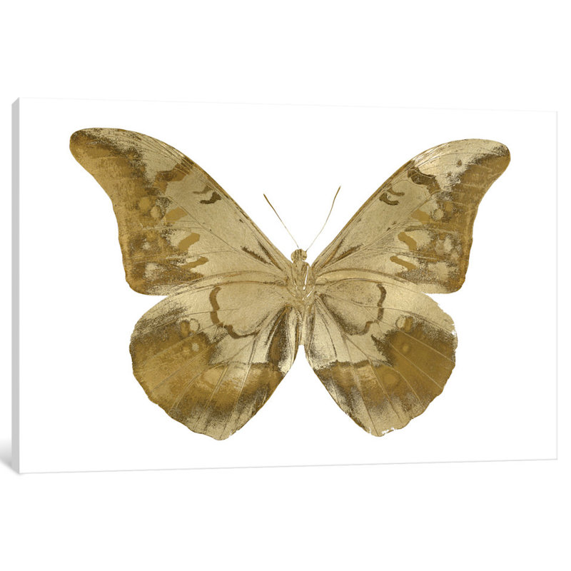 « golden papillon iii », reproduction d’art sur toile, H 18 po x l 26 po x P 1,5 po