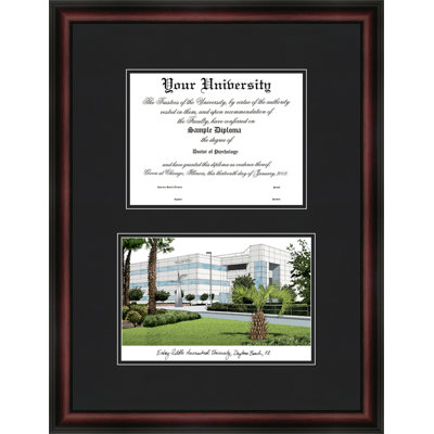 NCAA Embry-Riddle Eagles Diplomate Diploma Frame