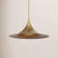 Luminaire suspendu 1 lumière Savdin House-406612513