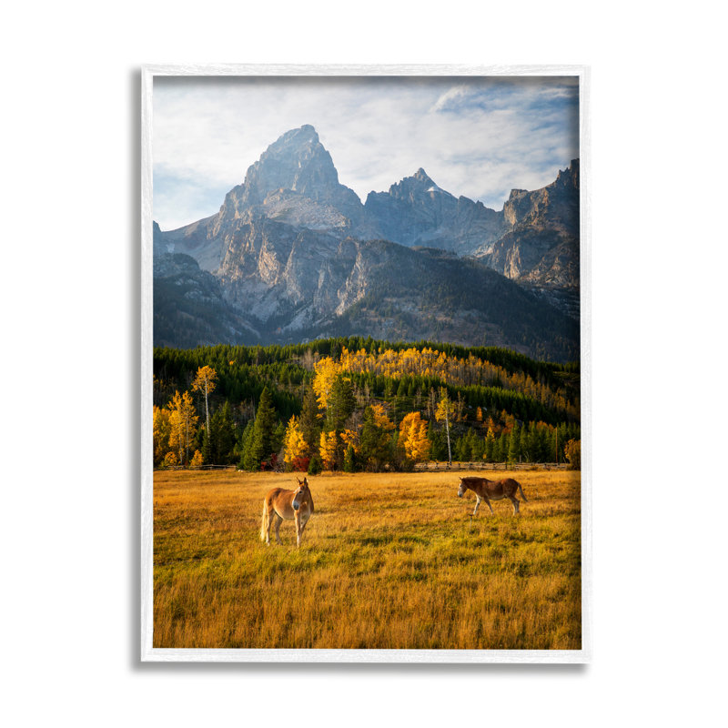 «Horses & Fall Foliage» encadré sur bois par Daniel Sproul, H 30 po x l 24 po x P 1,5 po, Giclée encadrée blanc bord de mer