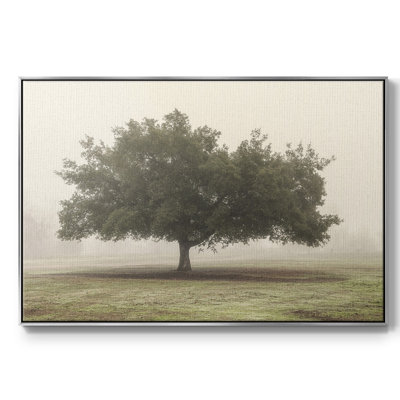 " Trees In The Fog II "