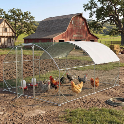 Geraud Chicken Run with Wire Mesh
