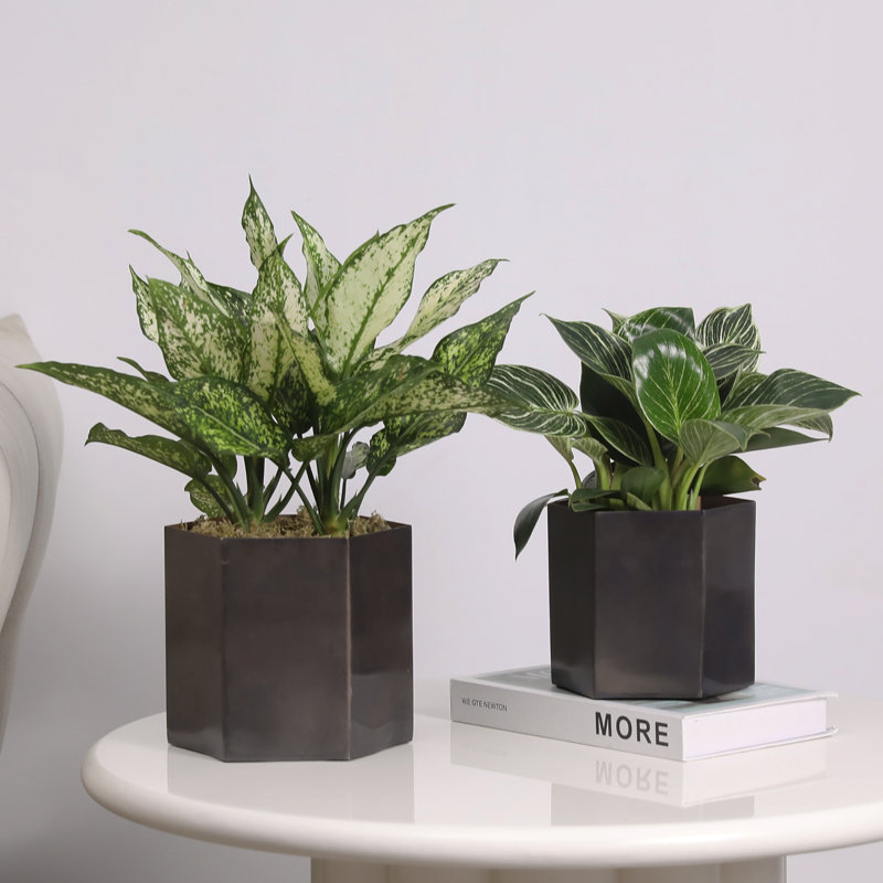 Metal Pot Planter, Dark Brown