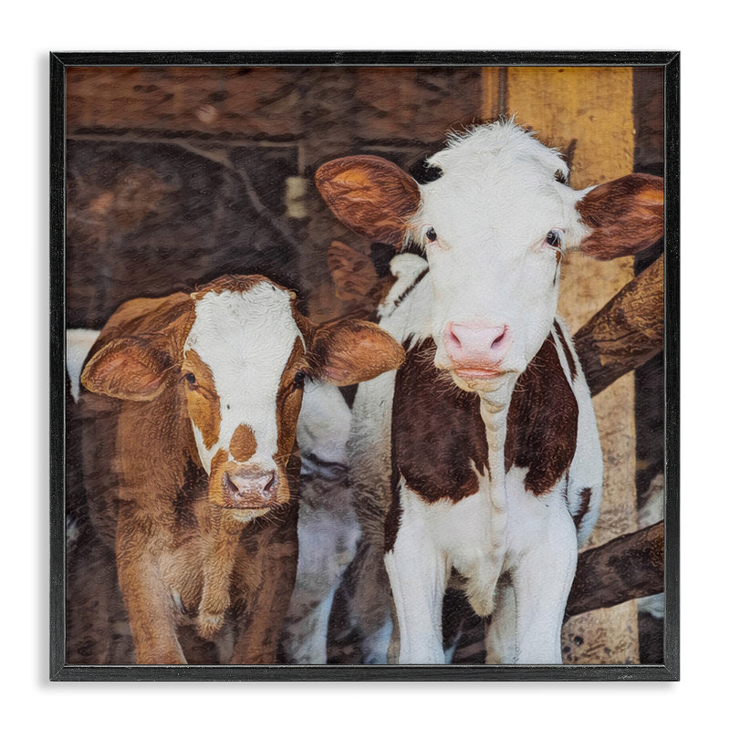 «Baby Cows on Farm», estampe numérique de Sundance Group, LLC., Giclée encadrée noir minuit, H 24 po x l 24 po