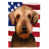 Airedale Terrier