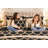 Golden Connection Black Pillow Cover 22x22