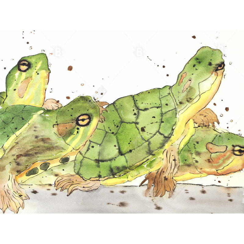 Small Aquatic Turtles Duvet Cover | Brown Illustrative Decor, Twin Duvet Cover