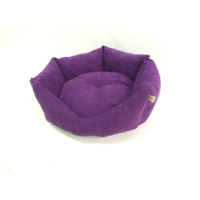 Turner Doughnut