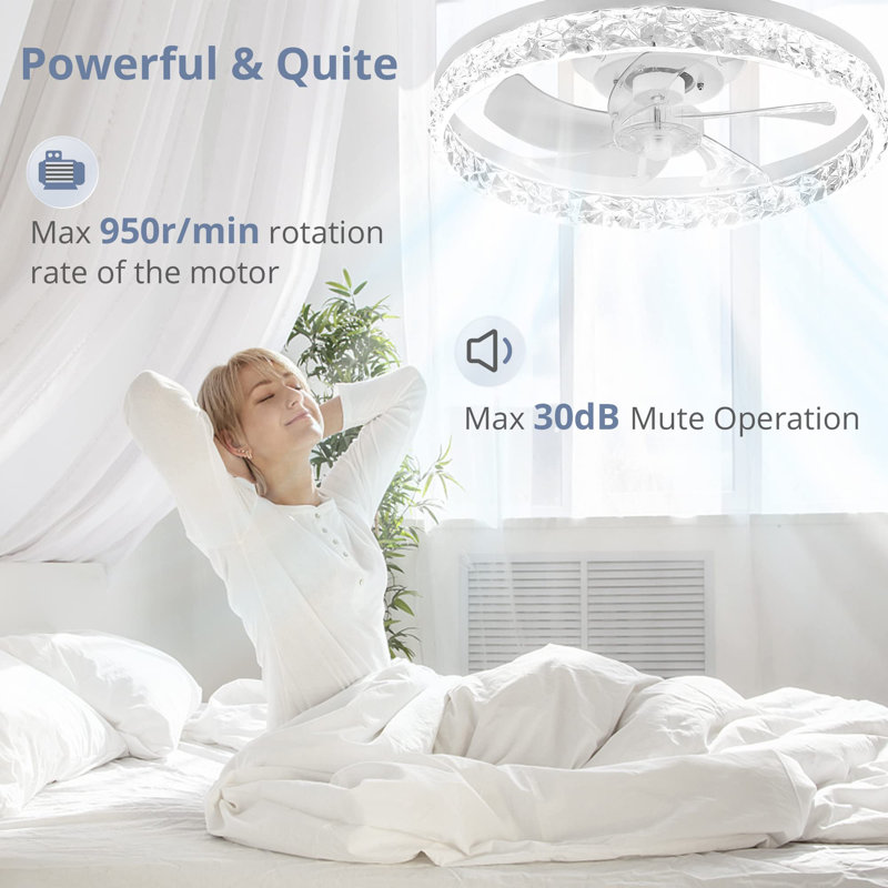20 inch Modern Ceiling Fans with Lights and Remote, Clear, White