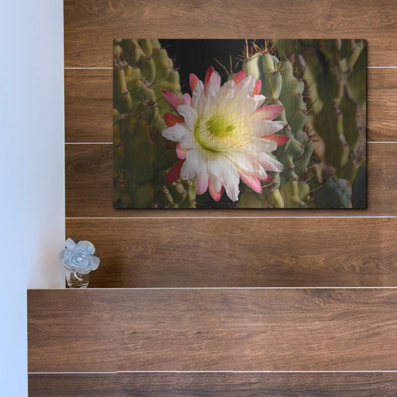 «Night Cactus Bloom Az 8663» par Mike Jones, art mural en métal, 16 po x 12 po, 16 po x 12 po