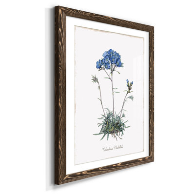 Douces pivoines I - Cadre photo, reproduction d'art sur papier