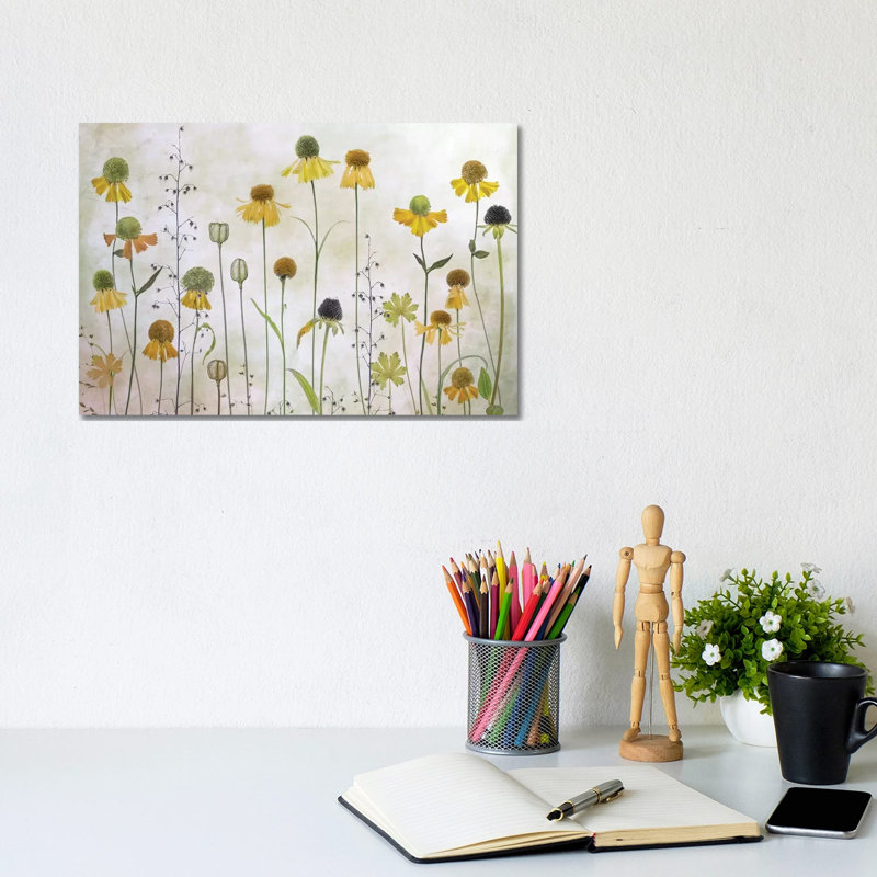 Helenium by Mandy Disher - Print on Canvas, Wrapped Canvas, 20.32cm H x 30.48cm W x 1.91cm D