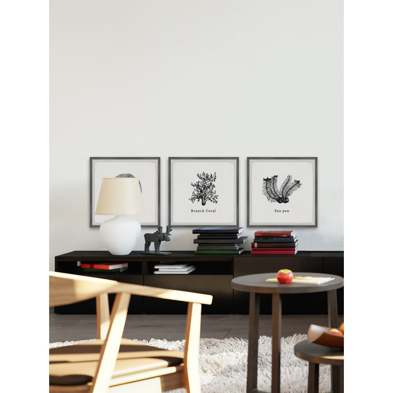Warminster Sea Pen by Marmont Hill - 3 Piece Print Set, 30cm H x 90cm W x 3.81cm D