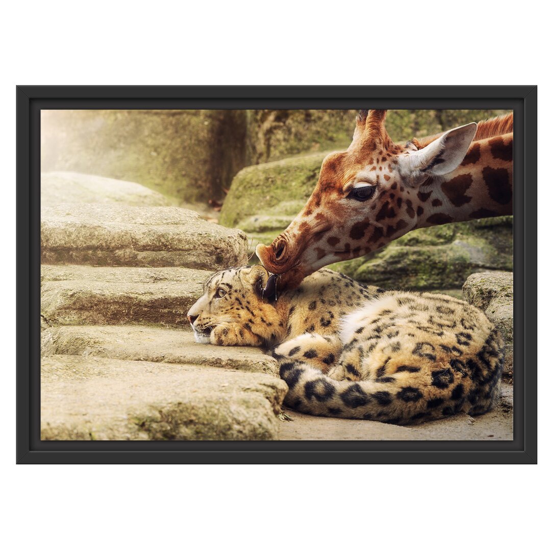 Gerahmtes Wandbild Leopard und Giraffe