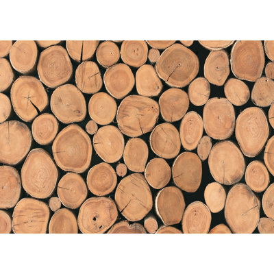 Fritztin Rectangle Geometric Area Rug