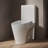 St. Tropez Comfort Height One-Piece Elongated Toilet, Vortex Dual-Flush 1.1/1.6 GPF, White Hardware-789141933-789141937-769207419