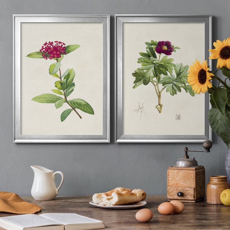 «Pretty Pink Botanicals II», ensemble de 2 impressions sur toile encadrées, H 24,5 po x l 18,5 po x P 1,25 po, Cadre argenté