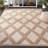 Brandii Performance Geometric Indoor/Outdoor Area Rug-770706939