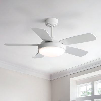 Ventilateur de plafond moderne à 5 pales de 42 po avec lumière et télécommande Damecia