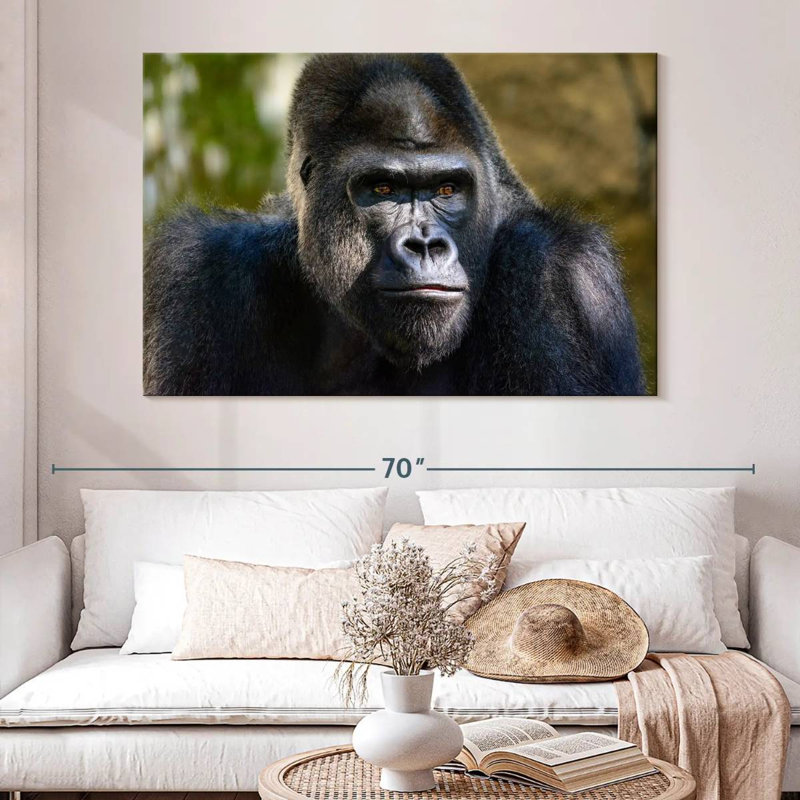 Mountain Gorilla, 34" H x 51" W