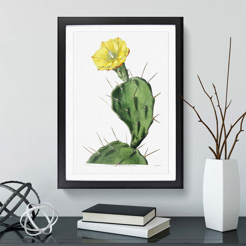 Flowering Prickly Pear Cactus - Framed Print, 36cm H x 27cm W x 2cm D, Black Framed