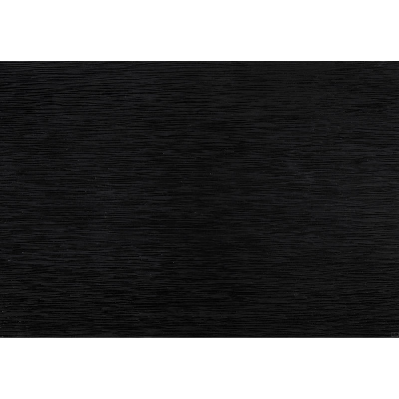 Ensemble de 2 chaises d'appoint en bois, Noir