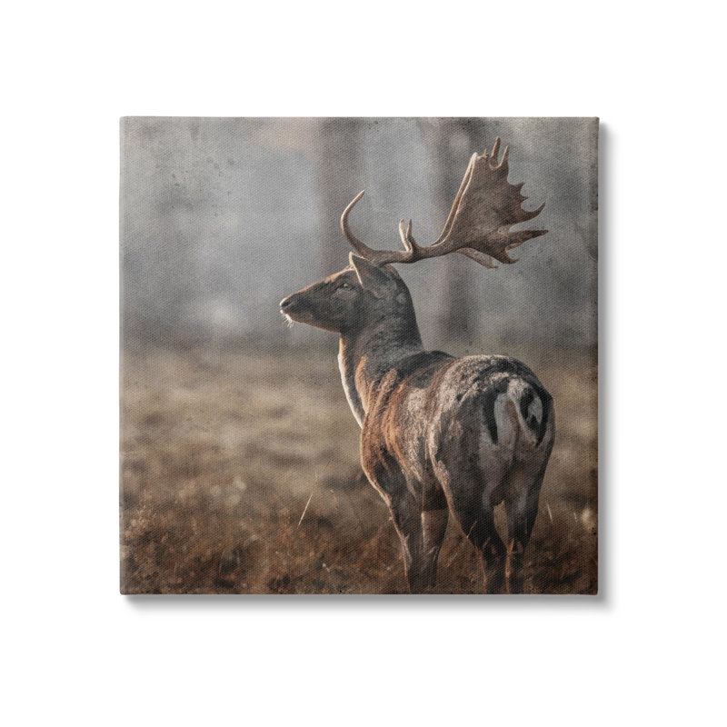 «Moose In Woodland Scene» sur toile par LSR Design Studio, H 17 po x l 17 po x P 1,5 po