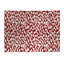 Paillasson Animal-1427936918-1427936920