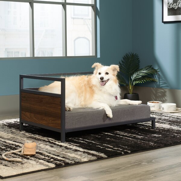 Tucker Murphy Pet™ Serrato Dog Sofa & Reviews | Wayfair