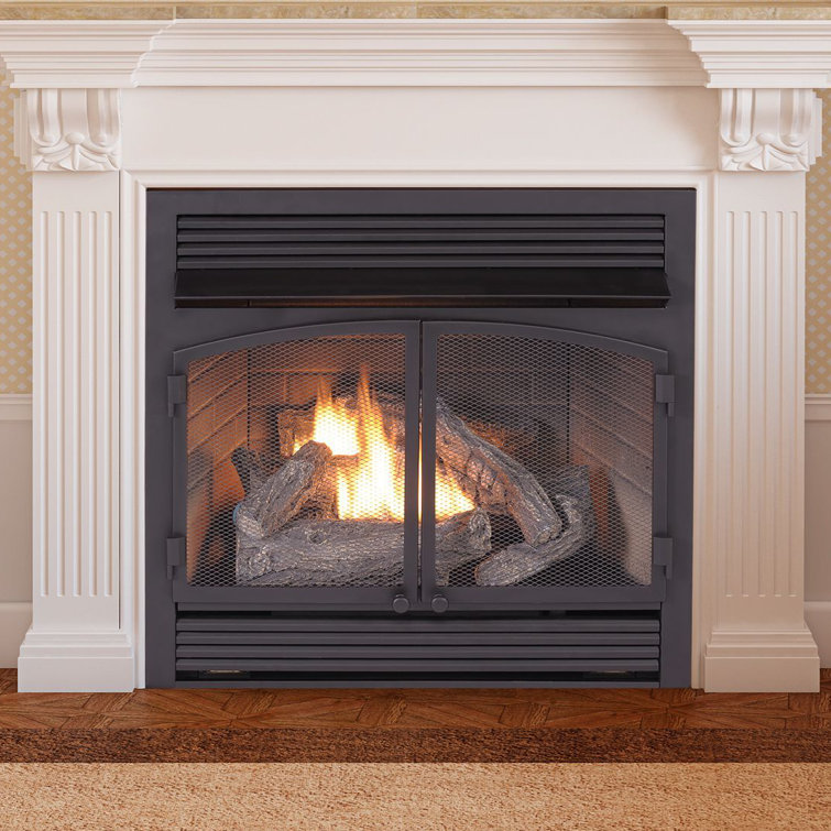 Duluth Forge 27.62'' W Ventless Fireplace Insert & Reviews