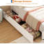 Structure de lit simple princesse avec 4 tiroirs de rangement et lumières DEL, revêtement en velours, tête de lit arc-en-ciel, lattes en bois massif, aucun sommier nécessaire-942512719