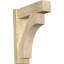 Sapin Douglas-109329344-113998552