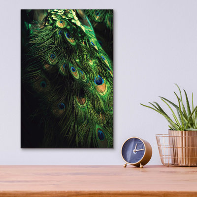 " Peacock Tail " by Incado